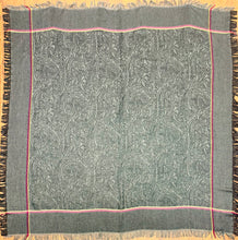 Load image into Gallery viewer, Etro Fringe Trim Shawl