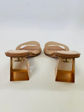 Load image into Gallery viewer, Gianvito Rossi Blush Cosmic Mules Size 37