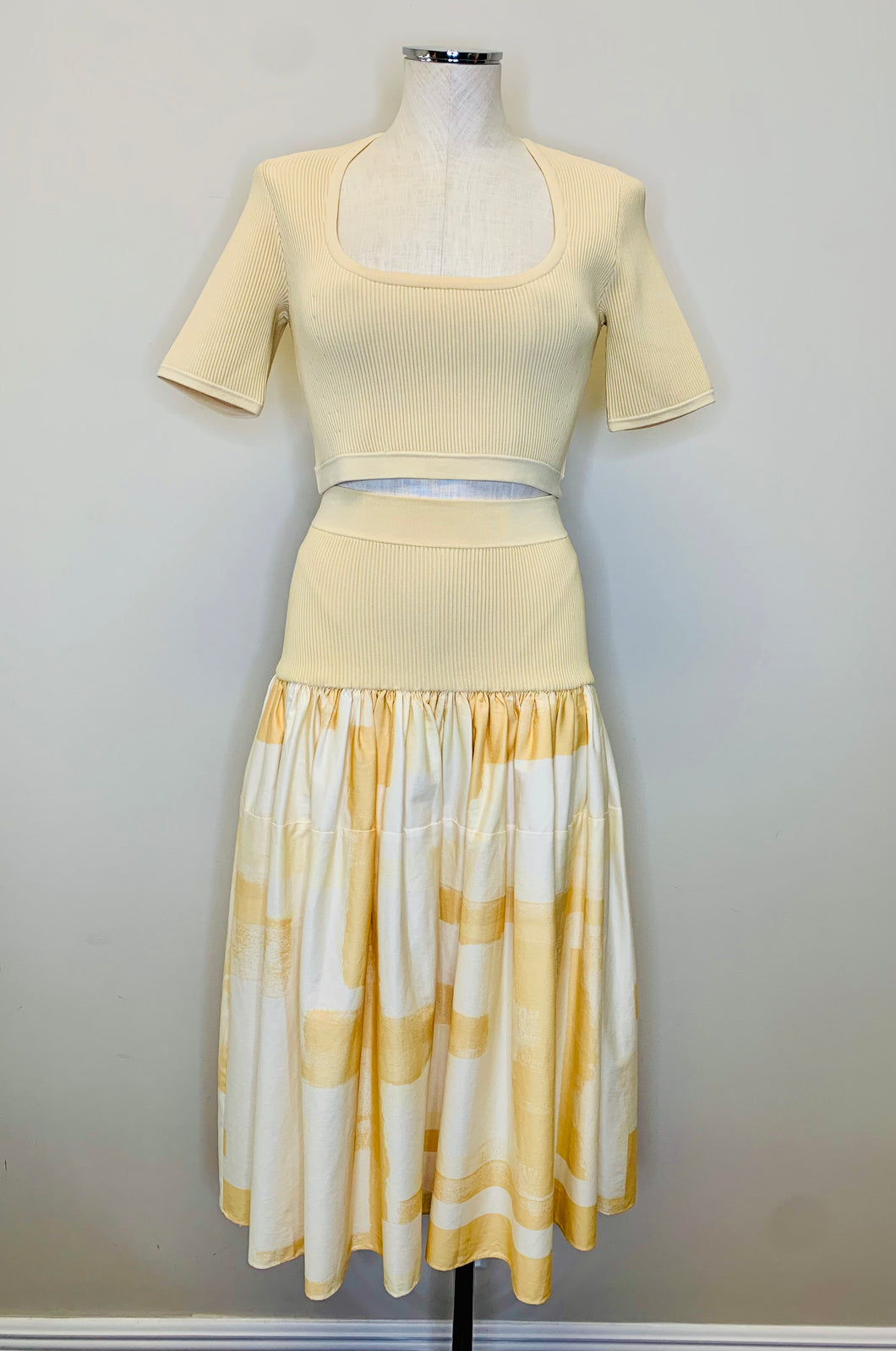 Alexis Brushstroke Arnette Skirt Sizes S and M